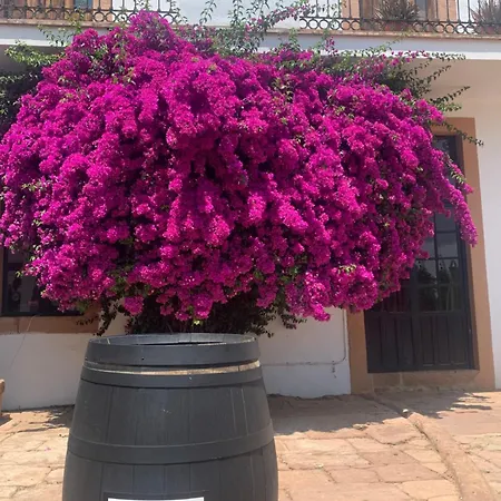 Molino La Nava